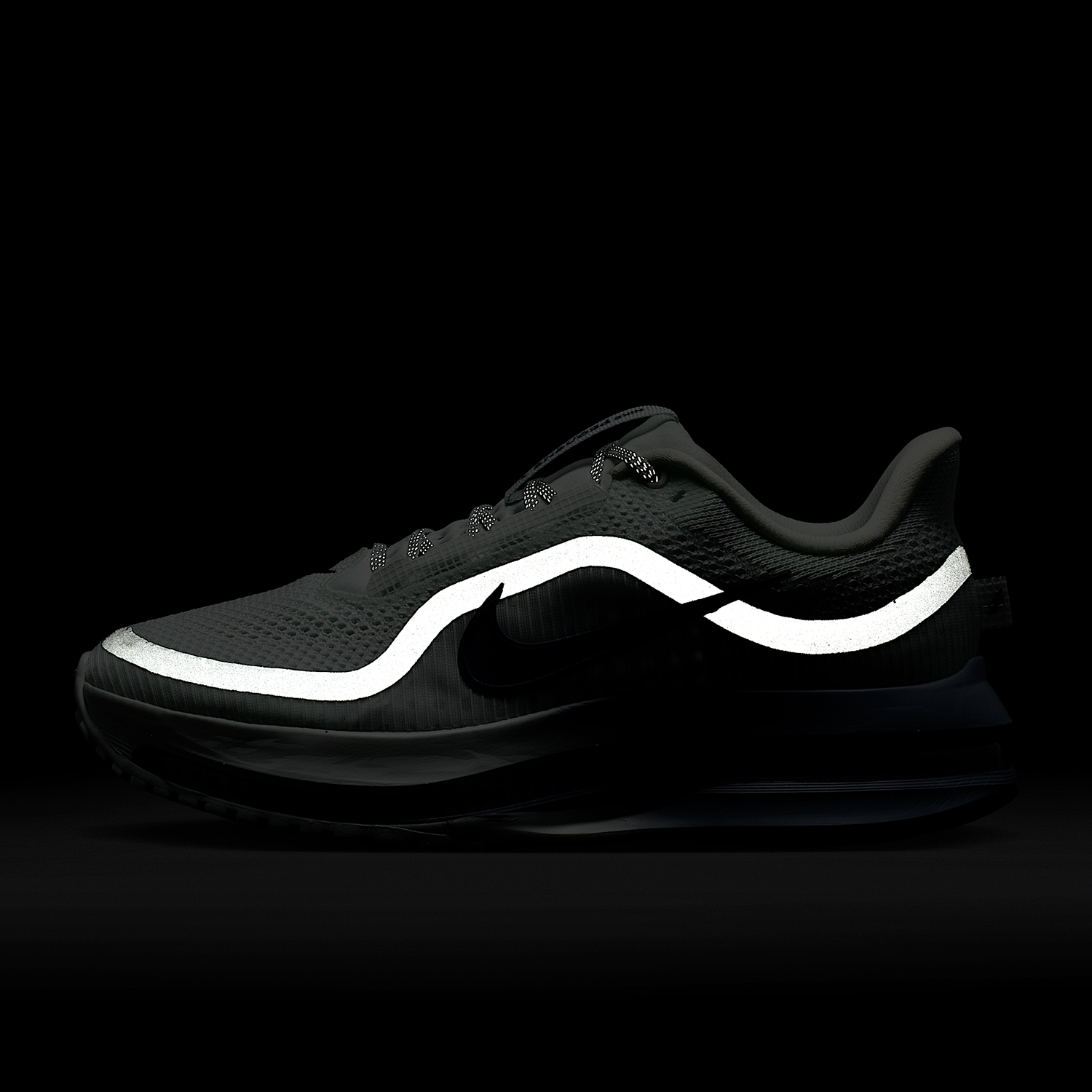 Nike genuine PEGASUS PREMIUM w - Women Shoes Running Nike review and price